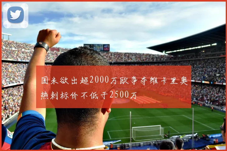 国米欲出超2000万欧争夺维卡里奥热刺标价不低于2500万