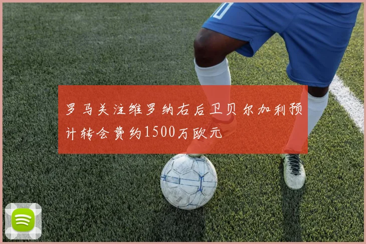 罗马关注维罗纳右后卫贝尔加利预计转会费约1500万欧元